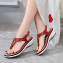 Chicago Orthopaedic Sandals