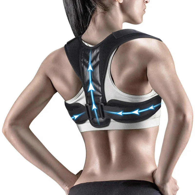 ProAlign – Adjustable Back Support - Black - L