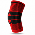 OrthoFlex Knee Brace