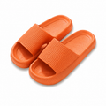 Cloud Orthopaedic Slides