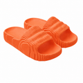 Veyne Orthopaedic Slides
