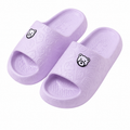 WalkBear Orthopaedic Slides