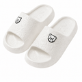 WalkBear Orthopaedic Slides